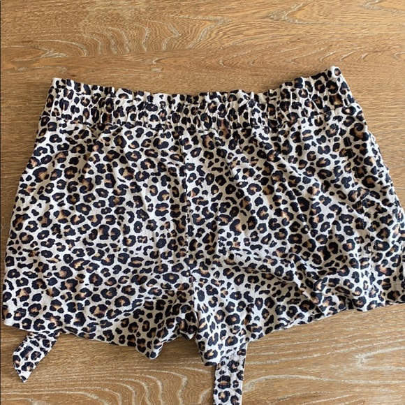 Jolt Leopard Shorts - Picture 3 of 3